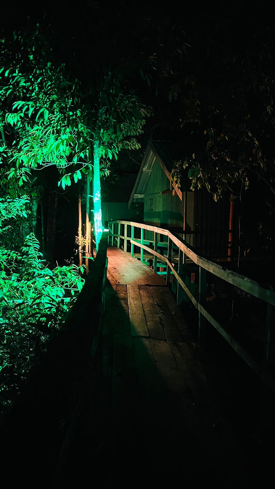 Lodge iluminado à noite